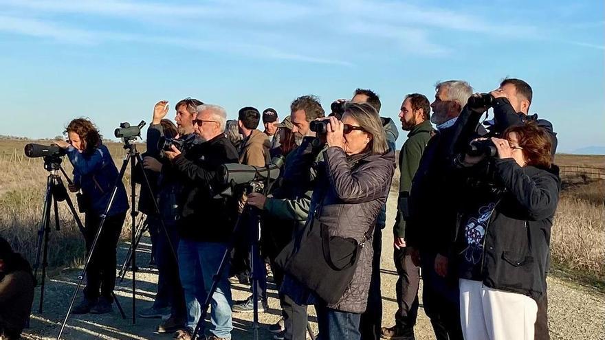 La migración prenupcial de las aves acapara todas las miradas en O Grove