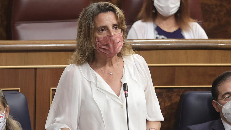 Teresa Ribera anuncia 20 millones de euros para compensar los ataques de lobo