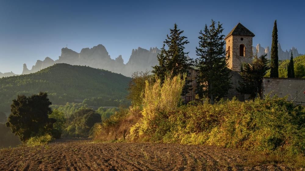 Concurs de fotografia del Parc de Montserrat