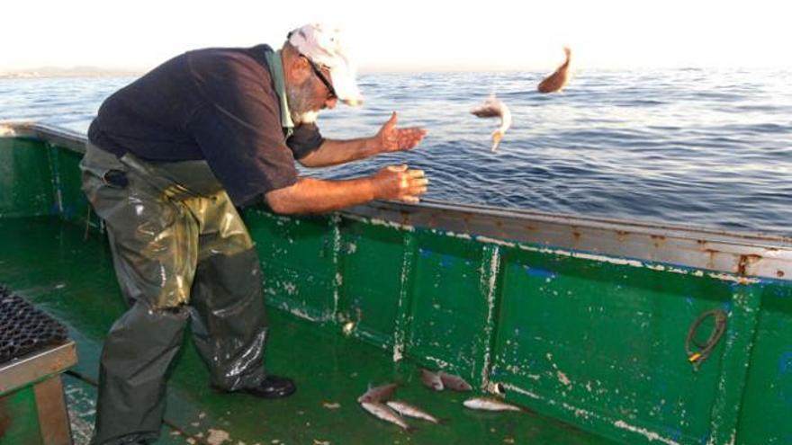 Un pescador devuelve los ejemplares pequeños al mar. | santi blanco