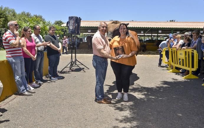 ARUCAS GRAN CANARIA A 28/05/2017 Entrega de premios concurso de ganado del Cabildo de Gran Canaria. FOTO: J.PÉREZ CURBELO