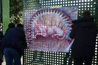 El barco que naufragó en un parque