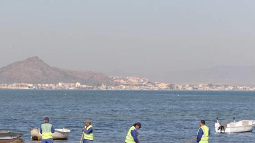 Labores de limpieza en las orillas del Mar Menor.