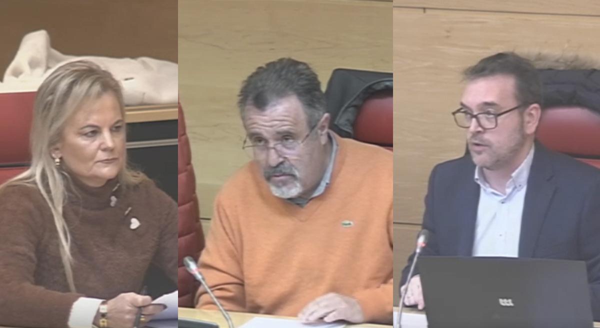 Los procuradores María Luisa Calvo (Vox), Jose Ignacio Martín Benito (PSOE), y Ricardo Gavilanes (PP).