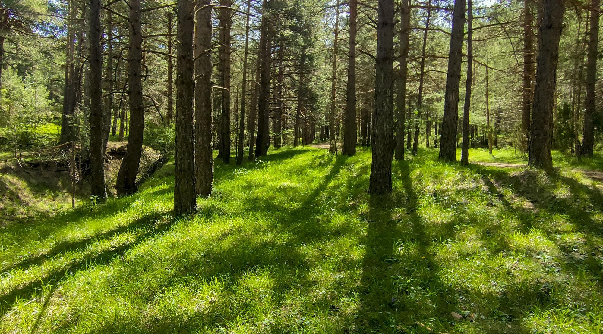 Subida al Penyagolosa: inmenso y colosal