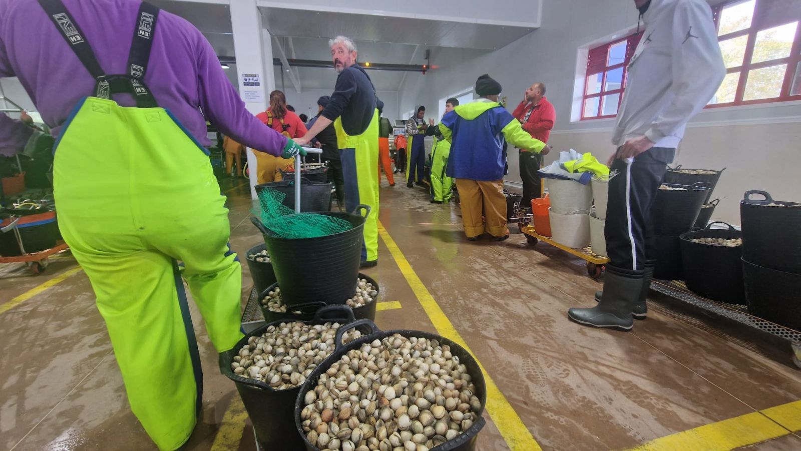 Así es el día a día en el puerto y la lonja de O Testal (Noia), donde cada vez se dan cita más mariscadores arousanos.