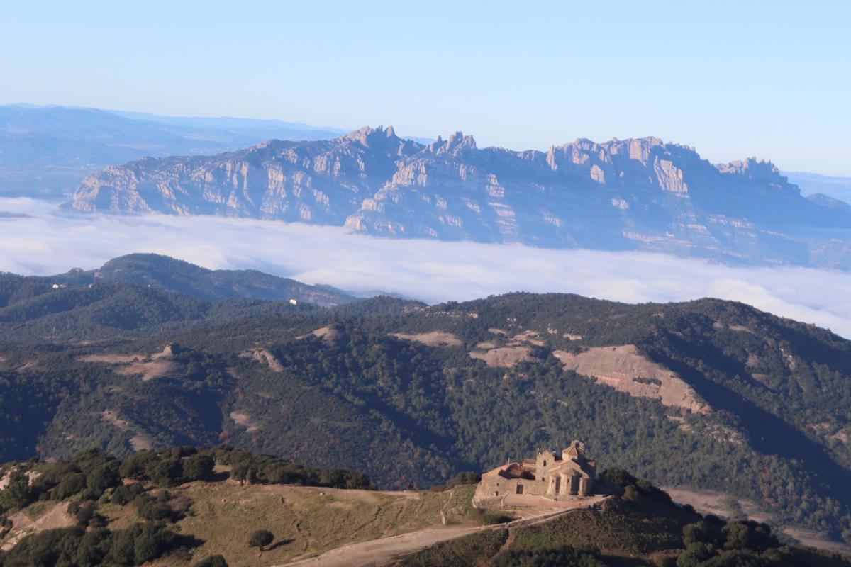 Los agentes rurales supervisan con helicóptero la zona cero de la peste porcina africana
