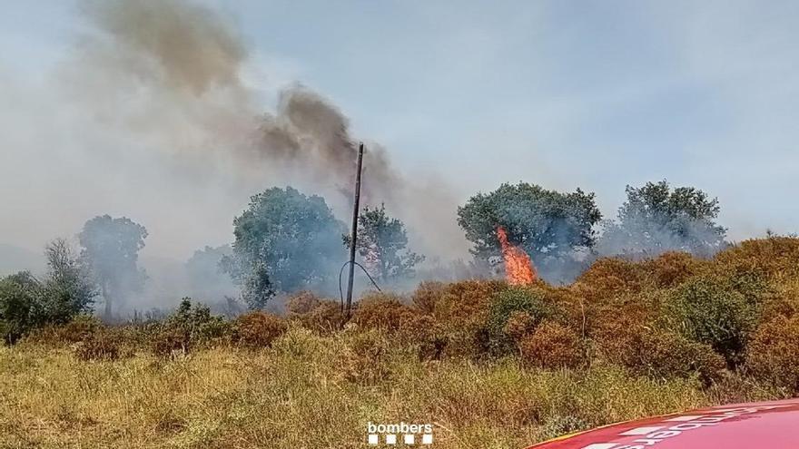 Un incendi de mitja intensitat crema a Rabós d'Empordà