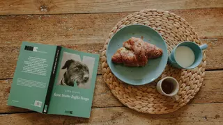 Encuentra tu libro de mascotas ideal para este verano