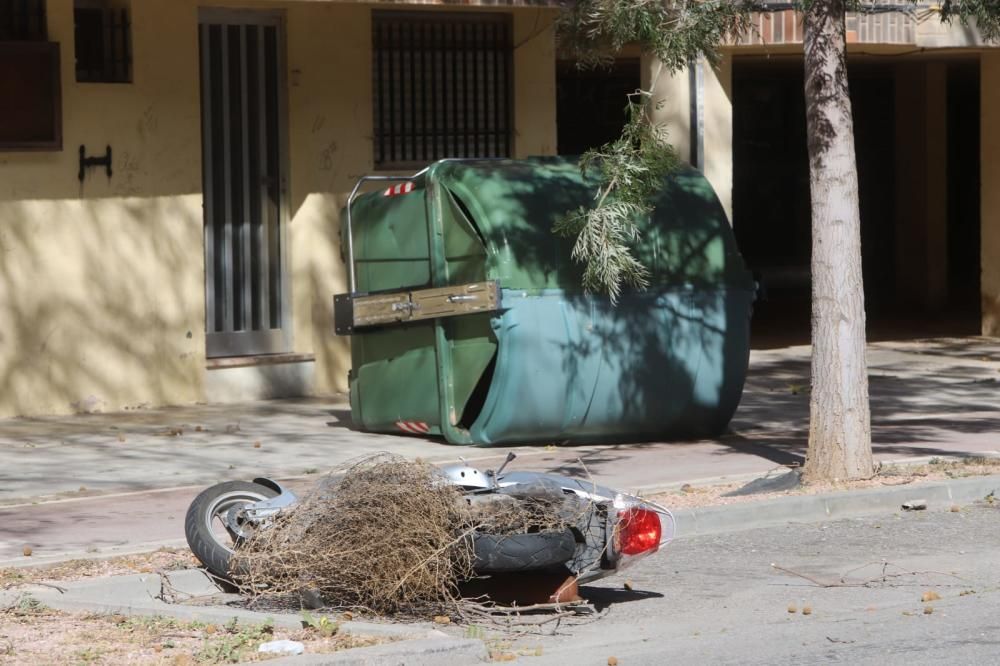 Destrozos del viento en Sagunt