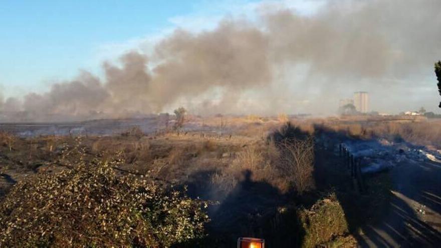 Arde medio kilómetro de marjal junto a la playa del Puig