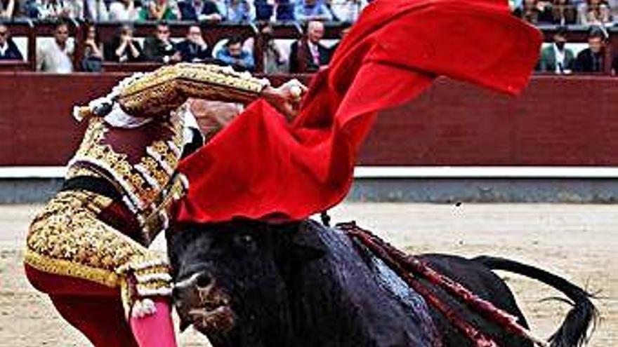 Pablo Aguado, en el momento de la cogida el domingo.