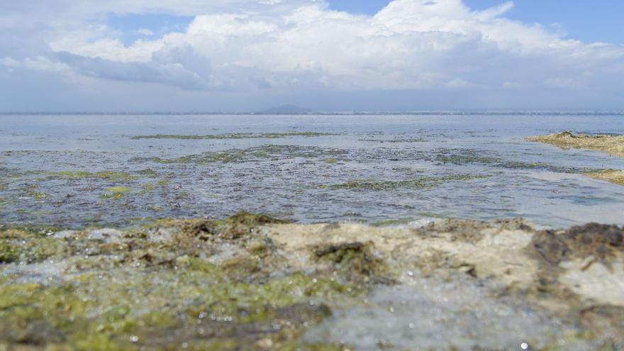 Murcia presume del gasto en el Mar Menor y acusa al Ministerio de remolonear