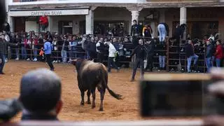 Rapidez y juego en uno de los Toros de la Purísima más multitudinarios
