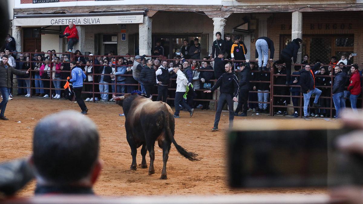Villapando festeja uno de sus Toros de la Purísima más multitudinarios