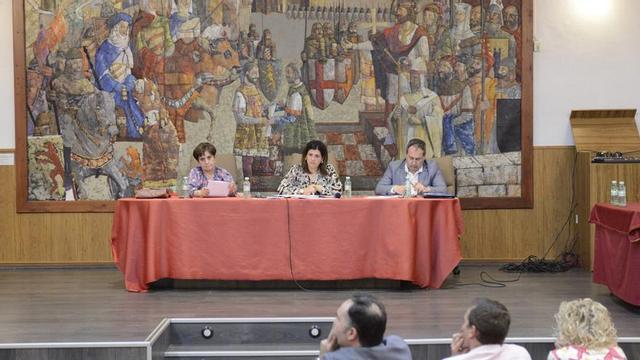 La alcaldesa de Benavente y presidenta de la Mancomunidad, Beatriz Asensio, en una asamblea.