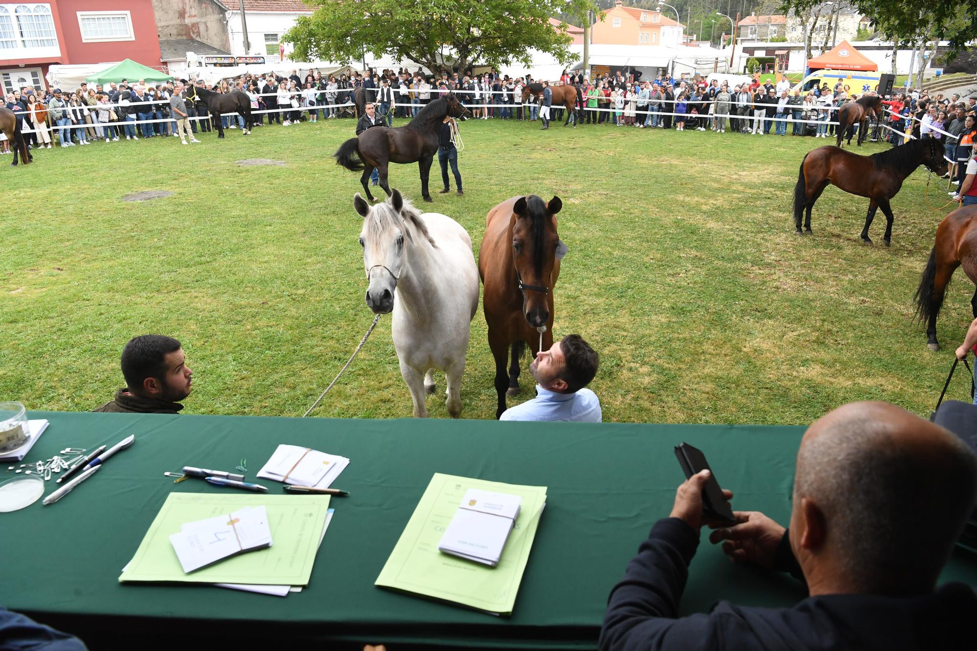 Feira das flores de Vilarmaoir