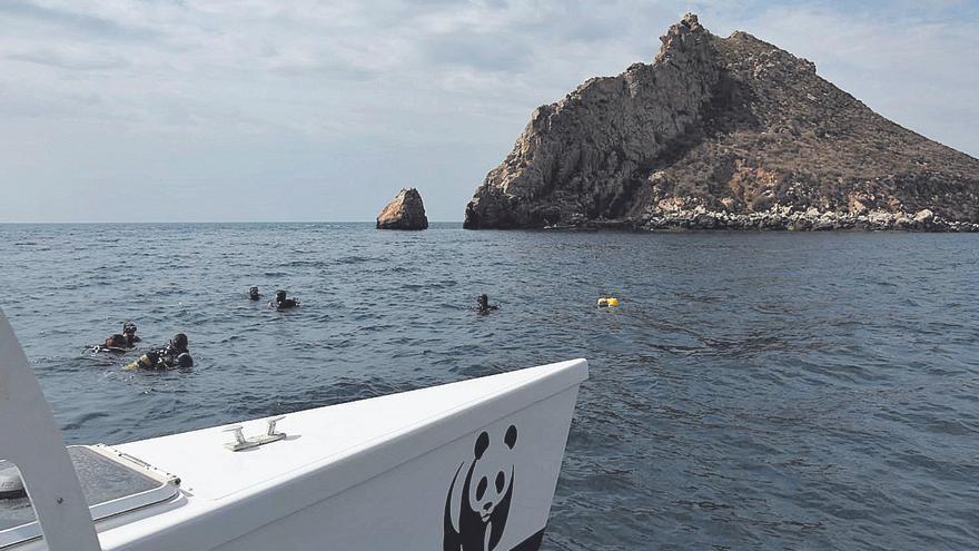 Instalarán fondeos ecológicos en Cabo Cope para no dañar las praderas de Posidonia