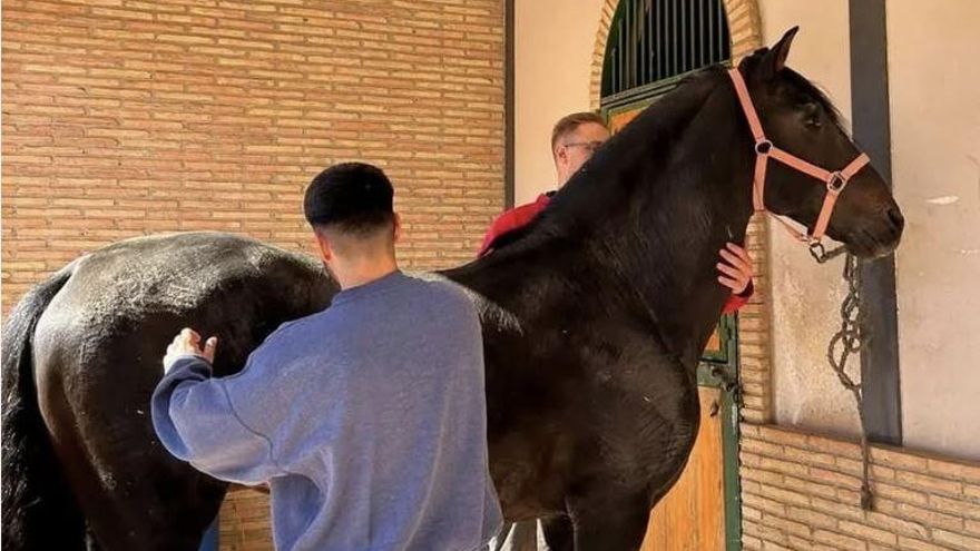 Los veterinarios quieren que se anule la convocatoria de una plaza modificada a medida