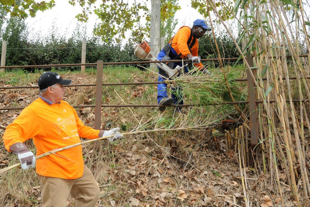 Neteja de la vora del riu Cardener a càrrec dels membres i voluntaris del projecte Invulnerables