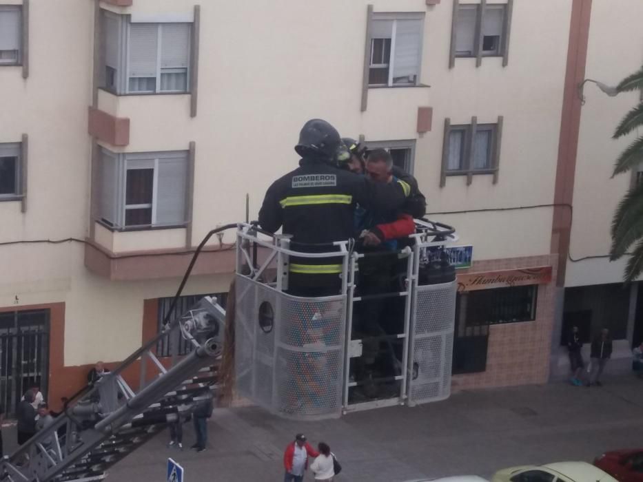 Rescate de un trabajador que podaba una palmera