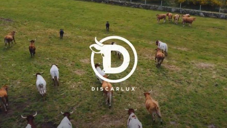 Spot de Discarlux, tienda 'online' de carnes de alta gama.