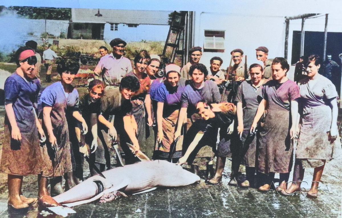 Foto da portada da reedición do libro con mulleres en Massó en 1965.   | //A CEPA