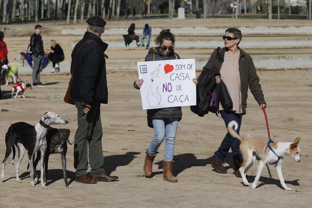 Manifestació contra la caça a Girona