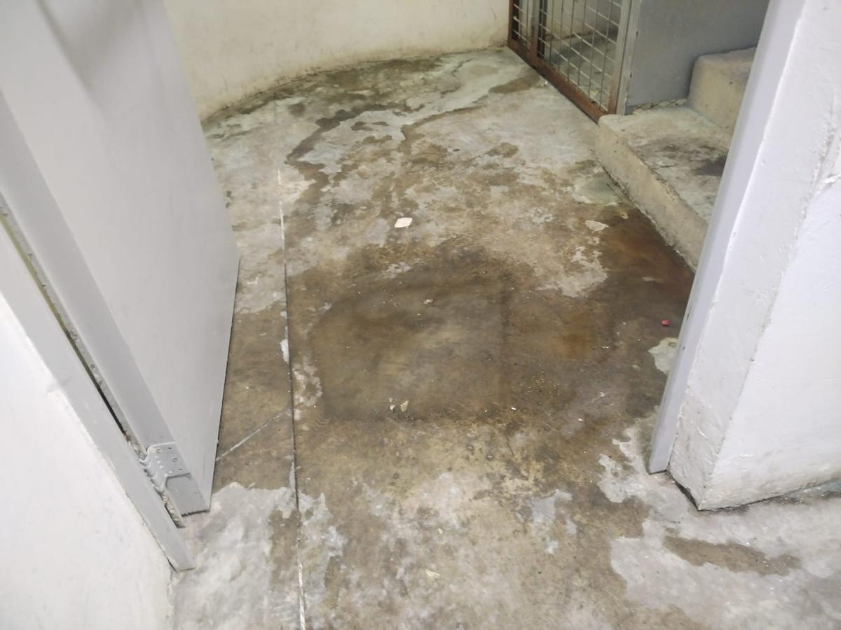 Manchas, en el parking del puente Trujillo de Plasencia.