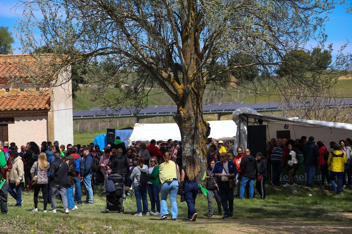 GALERÍA | Los zamoranos llenan la pradera de Valderrey en la romería del Cristo