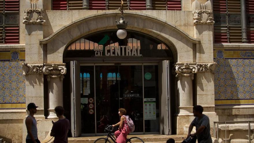 ¿Dónde pueden verse restos de fósiles en el centro de València?