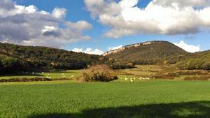 Aquest és el denominador comú de la Vall de Llémena, camps de conreu, cingleres, camins, boscos i senders.  VALLDELLEMENA.CAT   David Céspedes   Girona