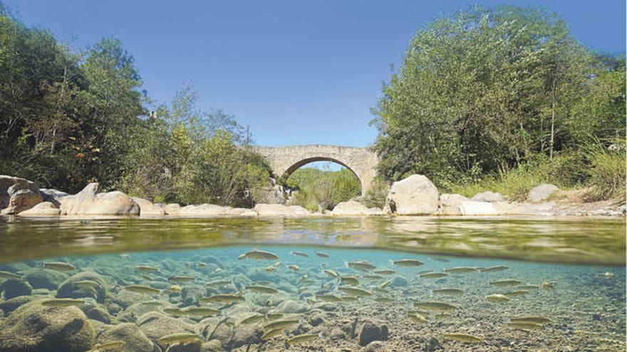 Sant Llorenç de la Muga sorprèn el viatger rere un meandre del riu, per mostrar l&#039;estampa inigualable del seu pont vell