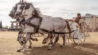 Las carreras de cuadrigas desde la arena del Circo Romano de Mérida, a mil pulsaciones