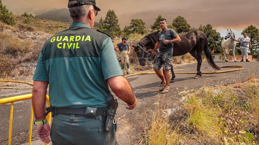 They order the evacuation of the upper area of ​​Araya due to the forest fire in Tenerife