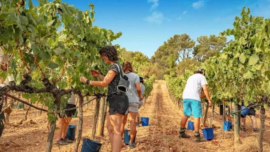 Costumari Popular | Per Sant Miquel la calor torna a baixar del cel