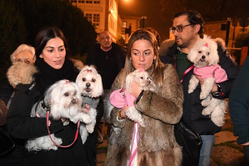 Bendición de mascotas en A Coruña