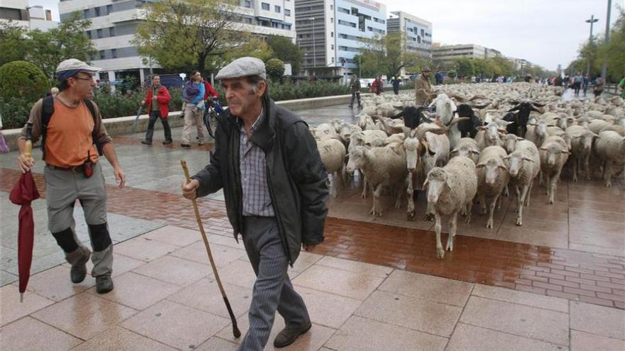 Por los caminos públicos