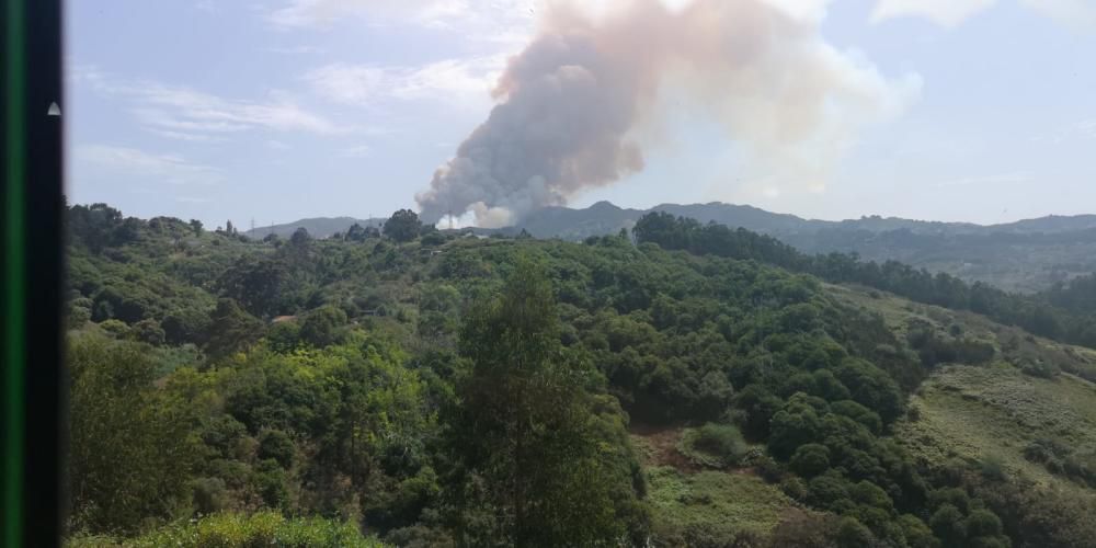 Perspectivas del incendio de Valleseco 17-08-19