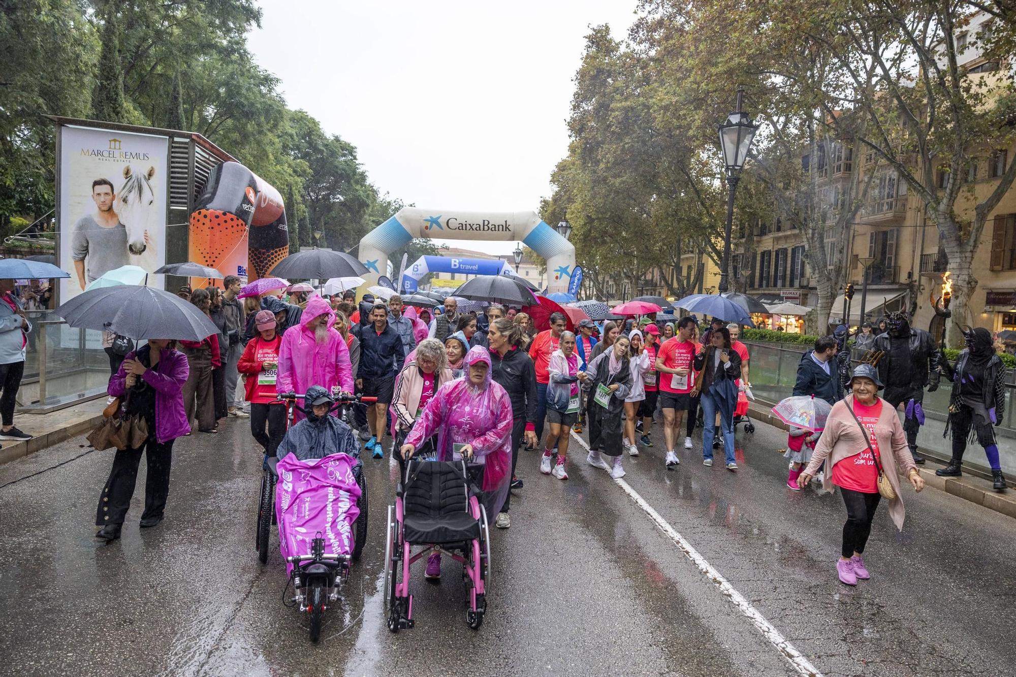 Búscate en la X edición de la carrera popular 'Mallorca En Marcha Contra el Cáncer' celebrada en Palma