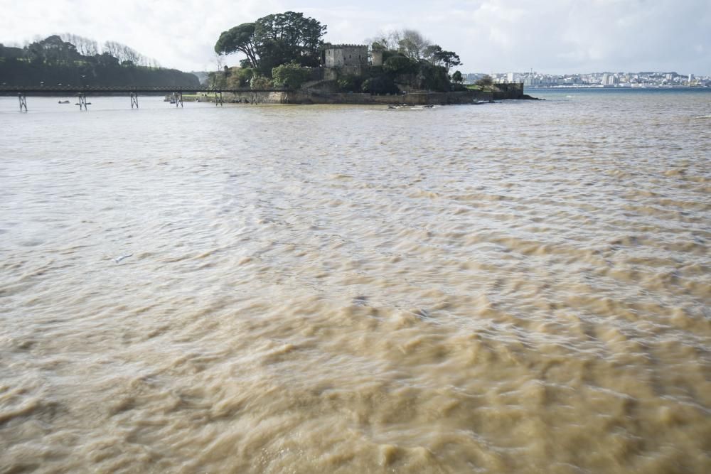 La bahía de Santa Cruz, otra vez teñida de marrón