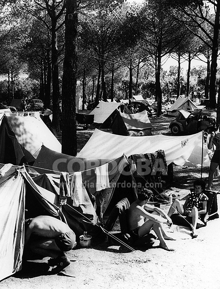 El camping de El Brillante, un espacio casi único