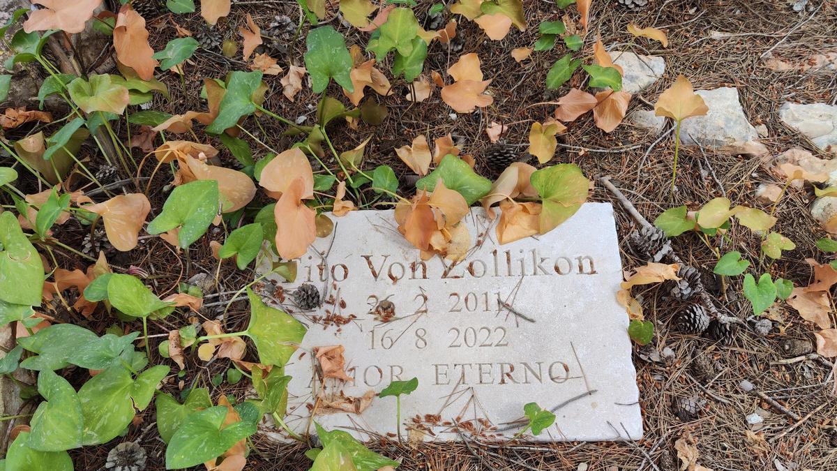 The illegal dog and cat cemetery of Sa Caleta in pictures.