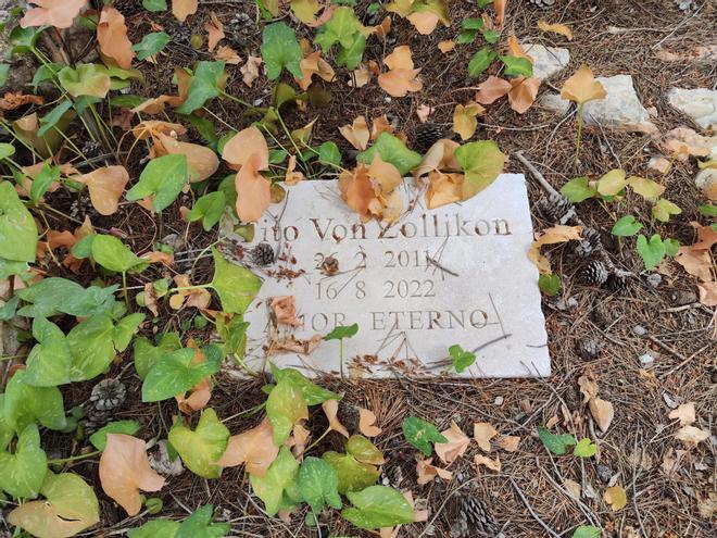 El cementerio ilegal de perros y gatos de sa Caleta en imágenes
