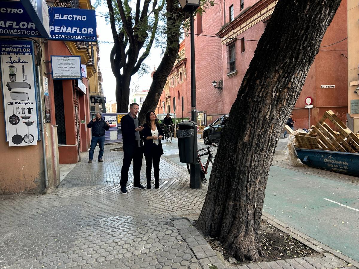 El delegada de Arbolado, Parques y Jardines, Evelia Rincón, inspecciona el estado de los árboles de San Jacinto