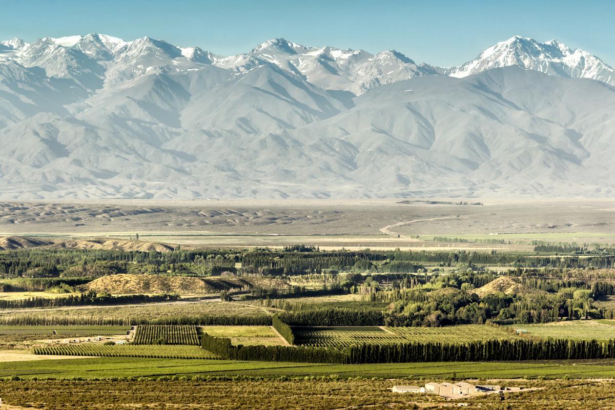 El Valle de Uco se ha convertido en el epicentro de los vinos de alta gama en Argentina