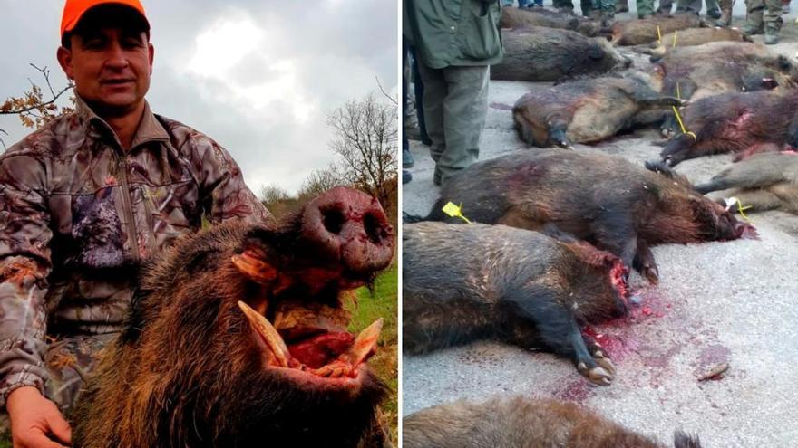 Un cazador abate un jabalí de 154 kilos en Mellanes y en Latedo cae una jabalina de 107