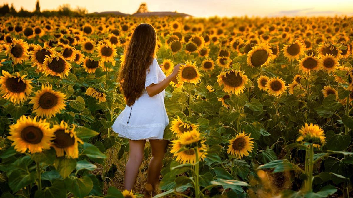 El 20 de junio es el Yellow Day, el día más feliz del año