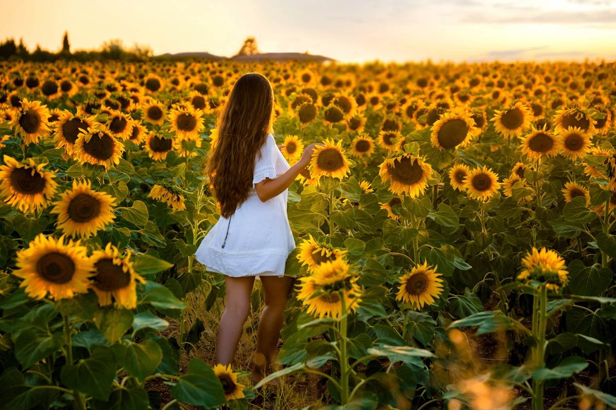 El 20 de junio es el Yellow Day, el día más feliz del año