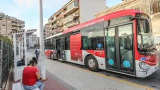 El desinterés de las empresas bloquea el contrato de transporte urbano de Torrevieja